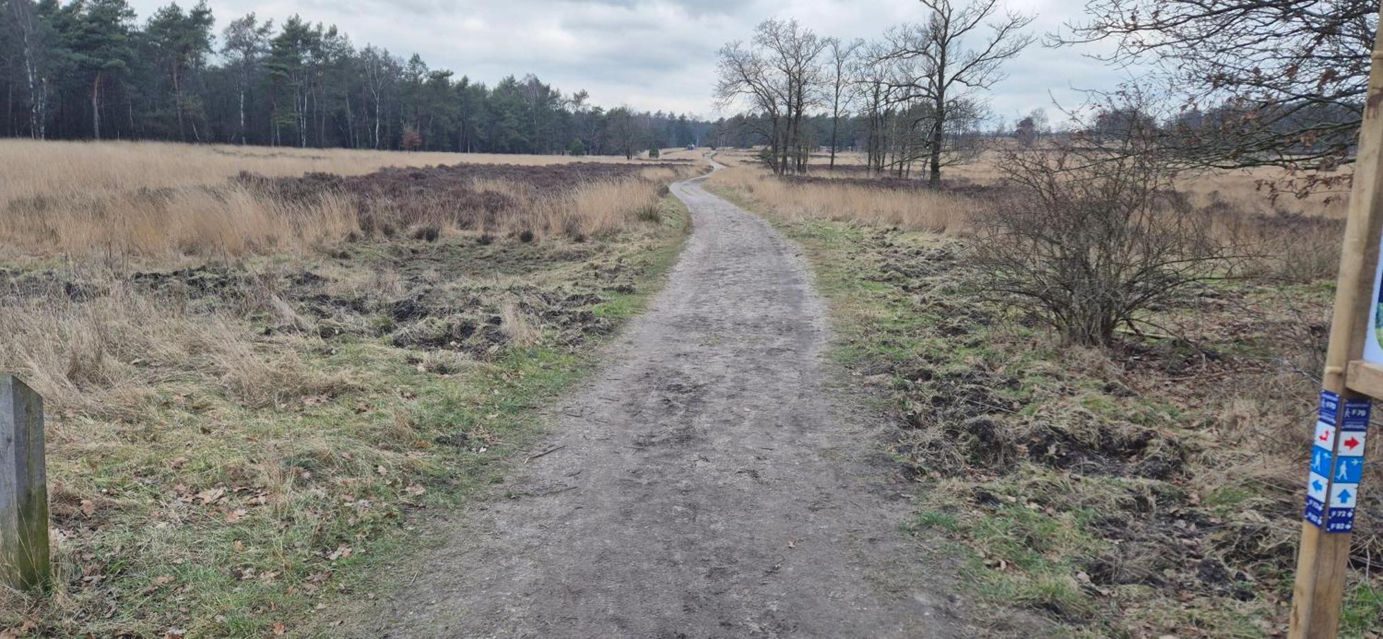 Het Veluwse Boshuisje Knus Chalet Met Omheinde Tuin Op De Veluwe Hoenderloo Exterior foto