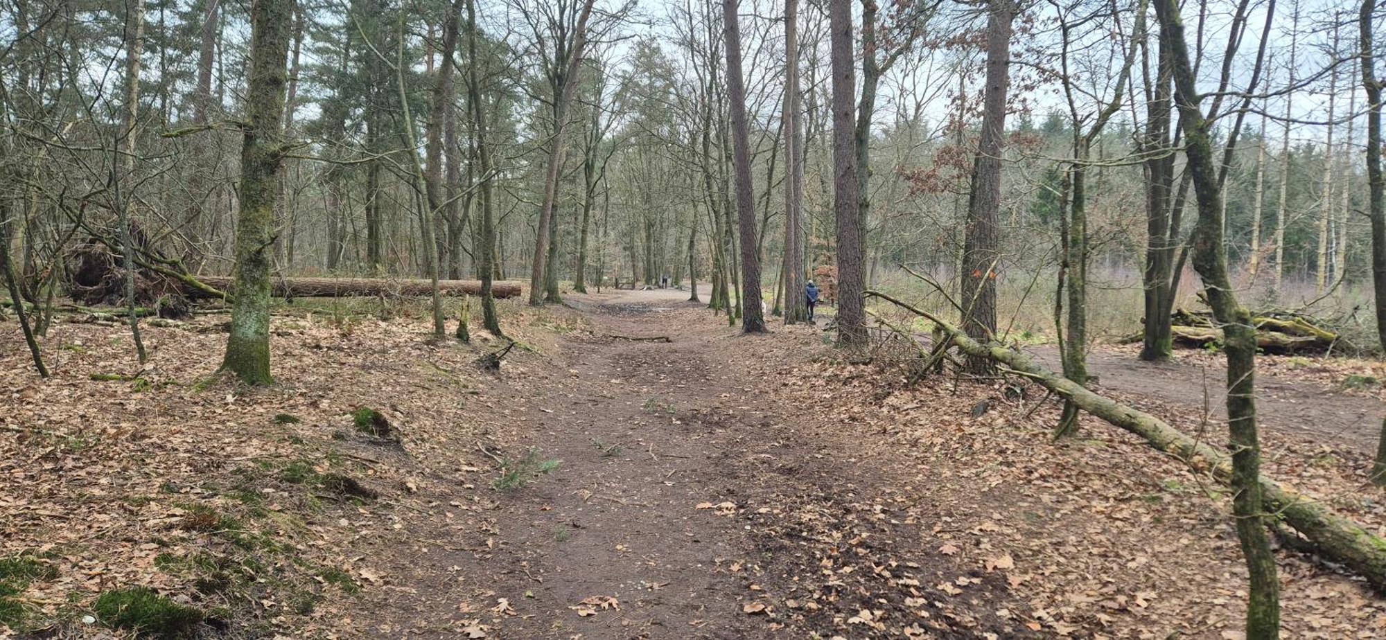 Het Veluwse Boshuisje Knus Chalet Met Omheinde Tuin Op De Veluwe Hoenderloo Exterior foto