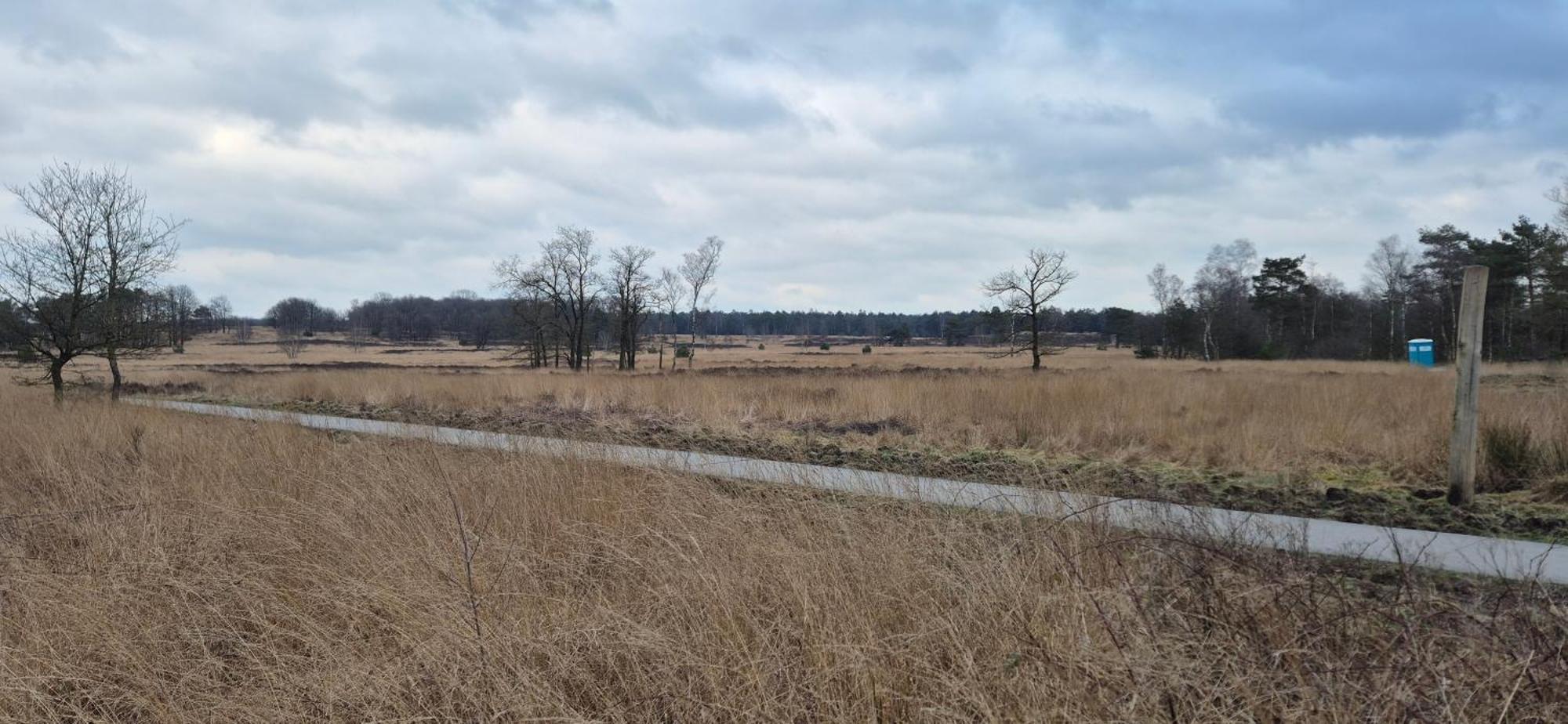 Het Veluwse Boshuisje Knus Chalet Met Omheinde Tuin Op De Veluwe Hoenderloo Exterior foto